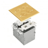 The 975510-C-D is a 2-gang brass floor box 