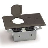 AP-RRP-2-LR-DB floor box and cover