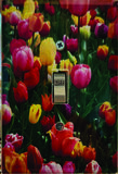 Clear Glass with Flower Images