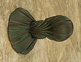 Cabinet Hardware