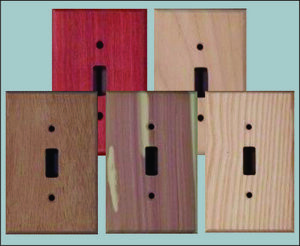 Unfinished Wood Switch Plates with Screws - 95 Wood Types