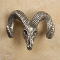 Bighorn Skull
